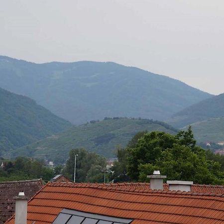Weingut & Gaestezimmer Pammer Mitterarnsdorf Экстерьер фото