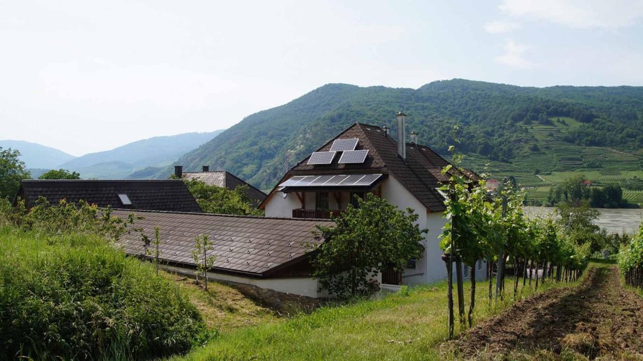 Weingut & Gaestezimmer Pammer Mitterarnsdorf Экстерьер фото