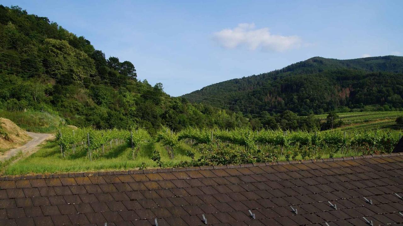 Weingut & Gaestezimmer Pammer Mitterarnsdorf Экстерьер фото