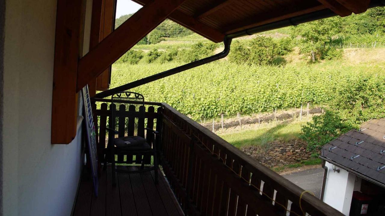 Weingut & Gaestezimmer Pammer Mitterarnsdorf Экстерьер фото