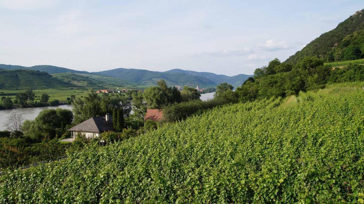 Weingut & Gaestezimmer Pammer Mitterarnsdorf Экстерьер фото