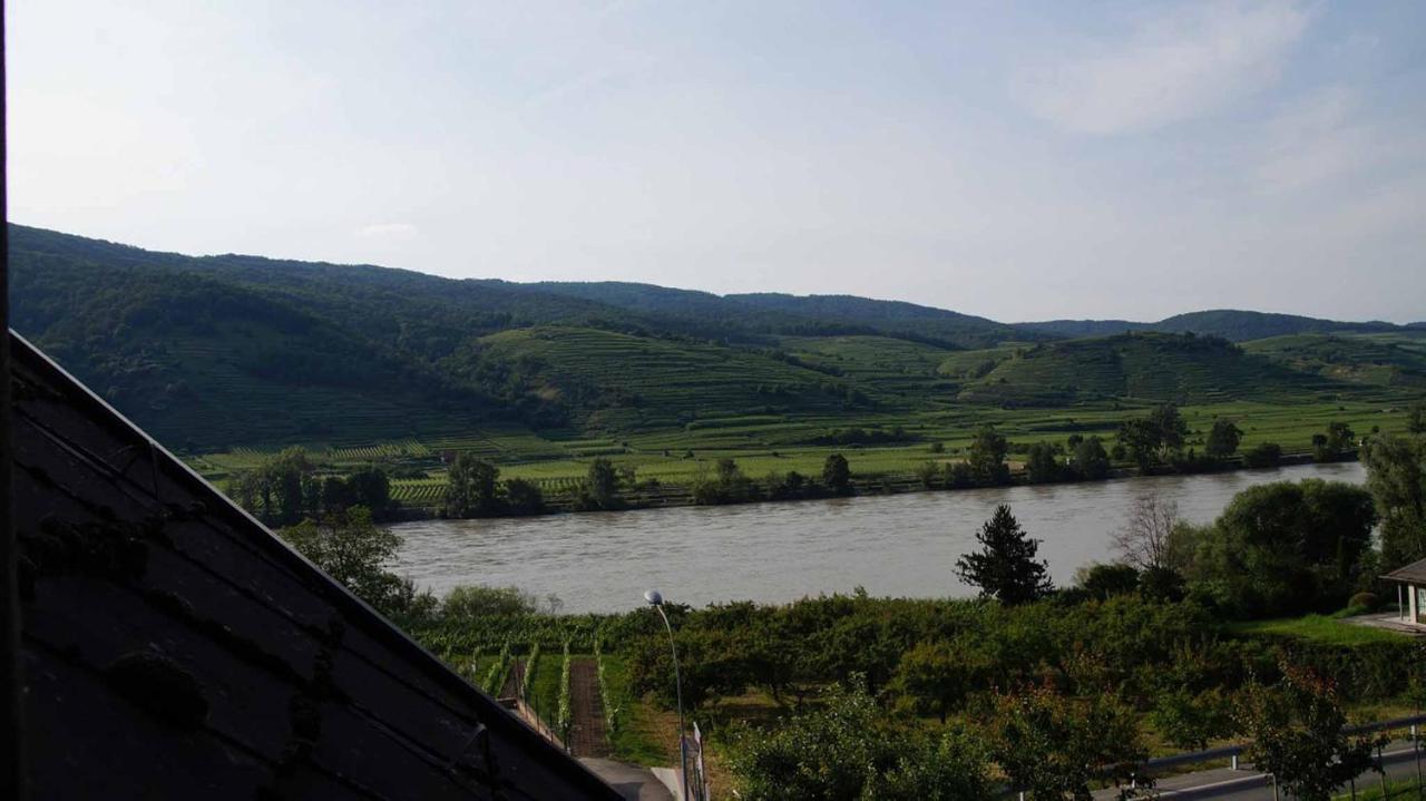 Weingut & Gaestezimmer Pammer Mitterarnsdorf Экстерьер фото